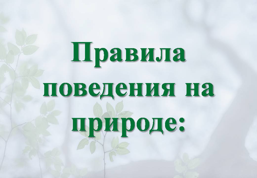 Правила поведения на природе.