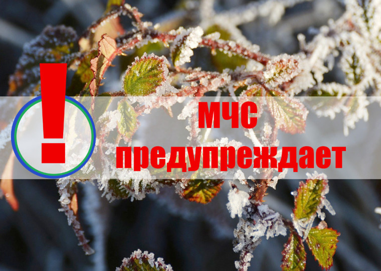 МЧС предупреждает. МЧС предупреждает.
