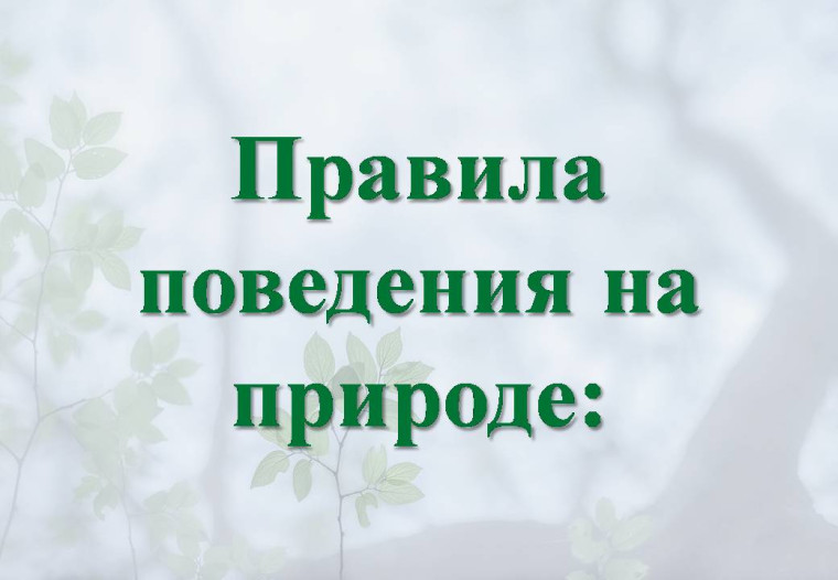 Правила поведения на природе. Правила поведения на природе.