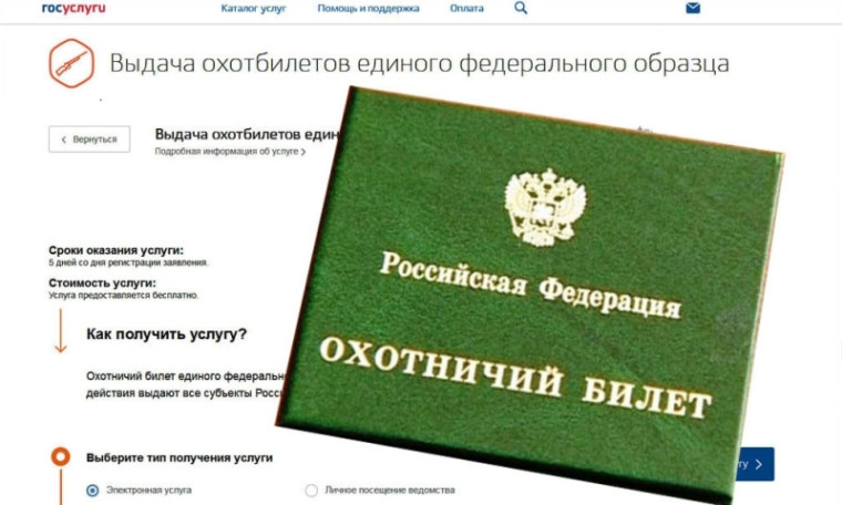 Охотничий билет и разрешения на добычу охотничьих ресурсов. Охотничий билет и разрешения на добычу охотничьих ресурсов.