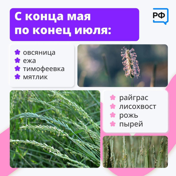 Сезонная аллергия: каких растений стоит избегать аллергикам?.